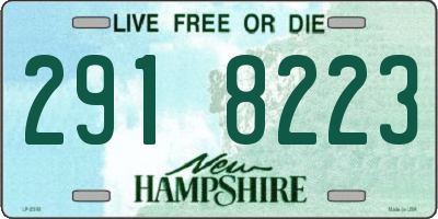 NH license plate 2918223