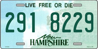 NH license plate 2918229