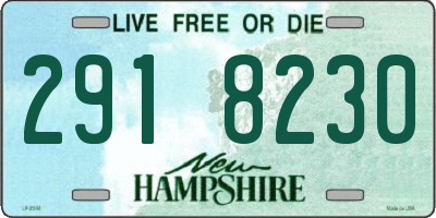 NH license plate 2918230