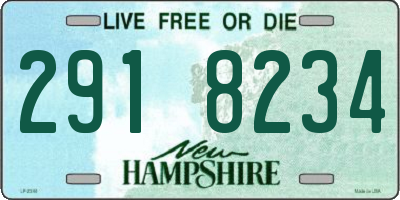 NH license plate 2918234