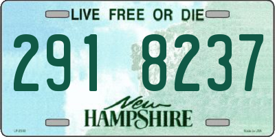 NH license plate 2918237