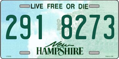 NH license plate 2918273