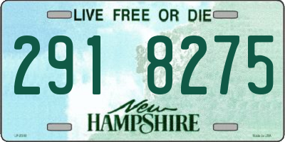 NH license plate 2918275