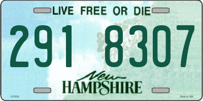 NH license plate 2918307
