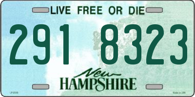 NH license plate 2918323