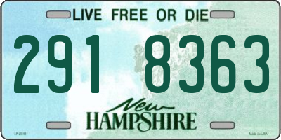 NH license plate 2918363