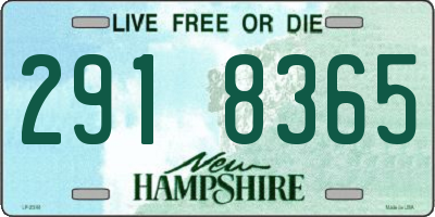 NH license plate 2918365