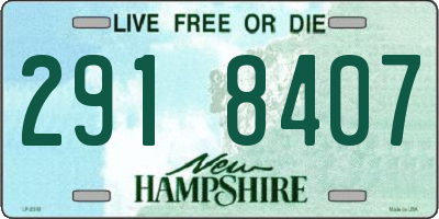 NH license plate 2918407