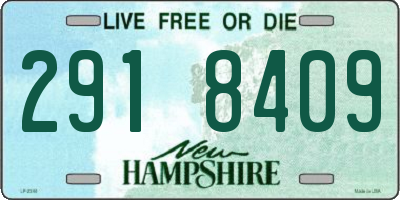 NH license plate 2918409