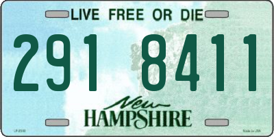 NH license plate 2918411