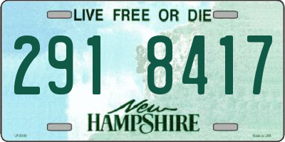 NH license plate 2918417