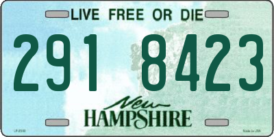 NH license plate 2918423