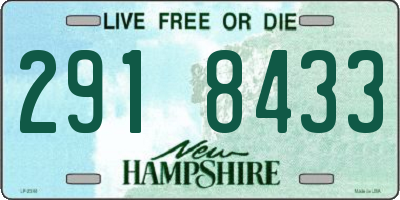 NH license plate 2918433