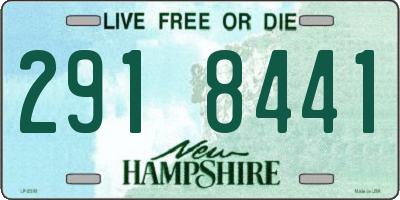 NH license plate 2918441