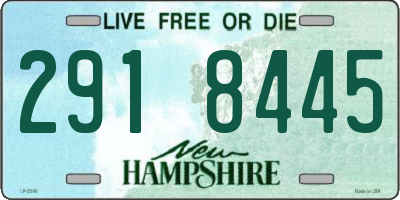 NH license plate 2918445