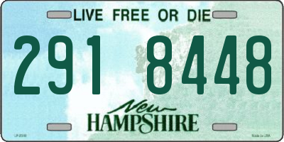 NH license plate 2918448