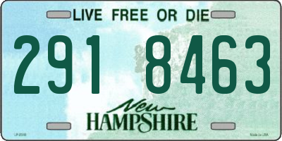 NH license plate 2918463