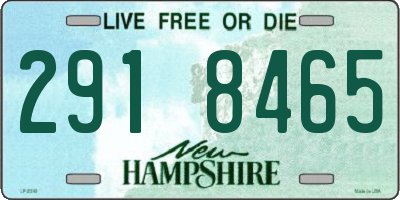 NH license plate 2918465