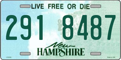 NH license plate 2918487