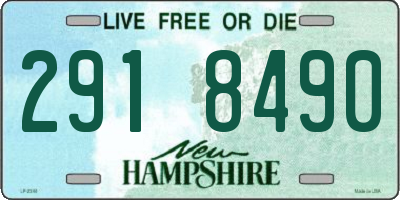NH license plate 2918490