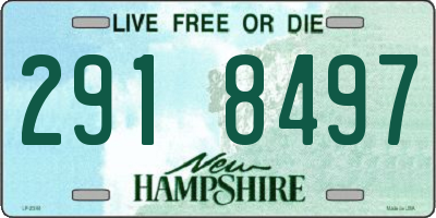 NH license plate 2918497