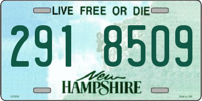 NH license plate 2918509