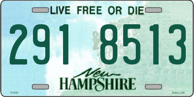 NH license plate 2918513