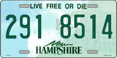 NH license plate 2918514