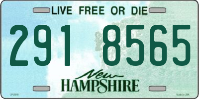NH license plate 2918565