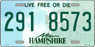 NH license plate 2918573