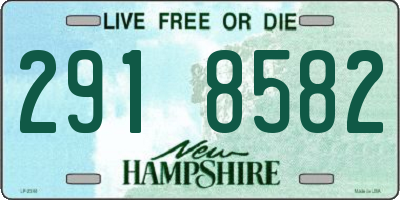 NH license plate 2918582