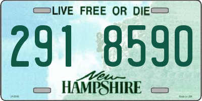 NH license plate 2918590