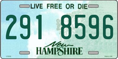 NH license plate 2918596