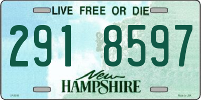 NH license plate 2918597
