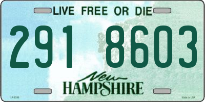 NH license plate 2918603
