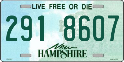 NH license plate 2918607