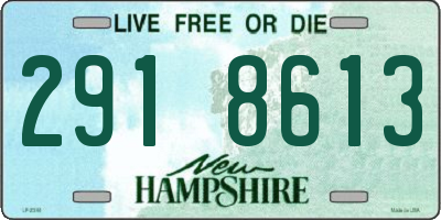 NH license plate 2918613