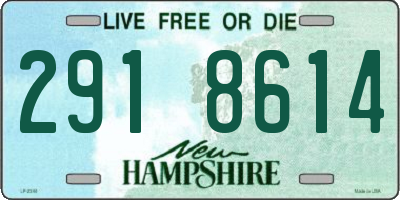 NH license plate 2918614