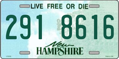 NH license plate 2918616