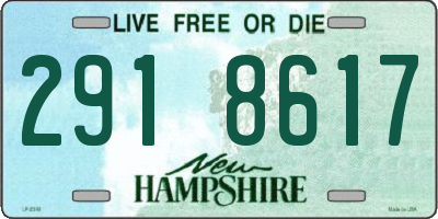 NH license plate 2918617