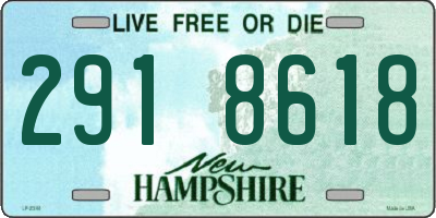NH license plate 2918618