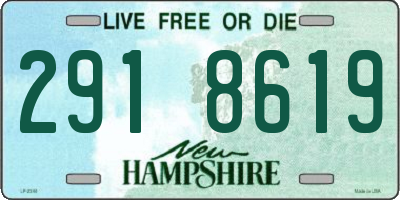 NH license plate 2918619