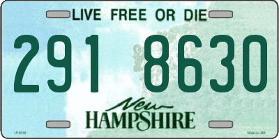 NH license plate 2918630