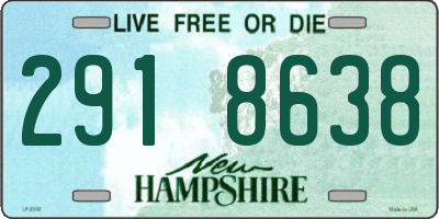 NH license plate 2918638