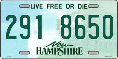 NH license plate 2918650