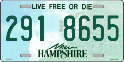 NH license plate 2918655