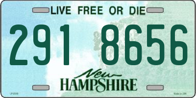 NH license plate 2918656