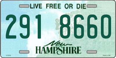 NH license plate 2918660