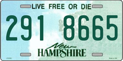 NH license plate 2918665