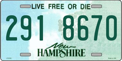 NH license plate 2918670